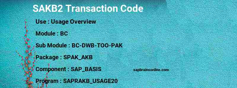 SAP SAKB2 transaction code