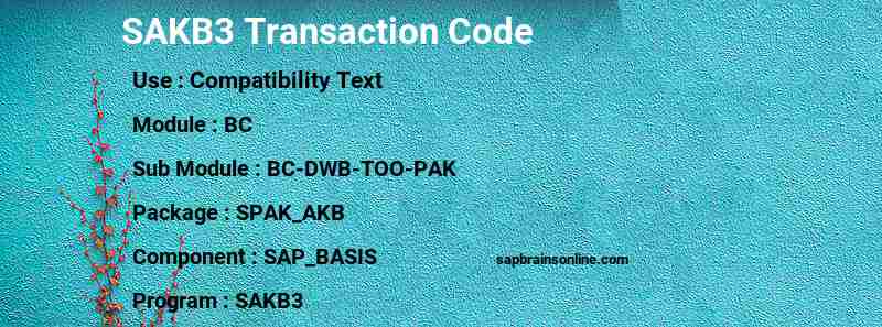 SAP SAKB3 transaction code