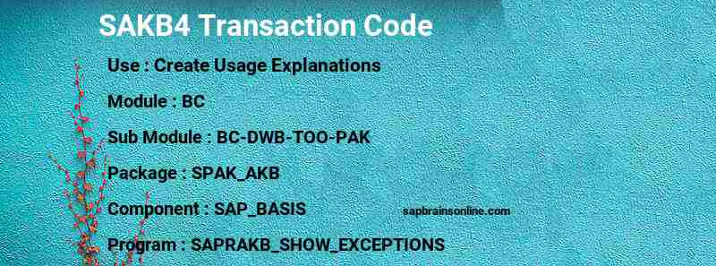 SAP SAKB4 transaction code