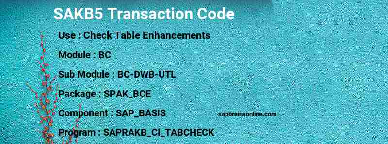 SAP SAKB5 transaction code