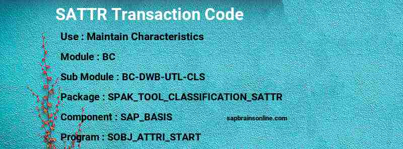 SAP SATTR transaction code