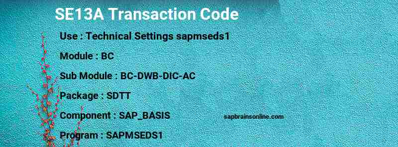 SAP SE13A transaction code