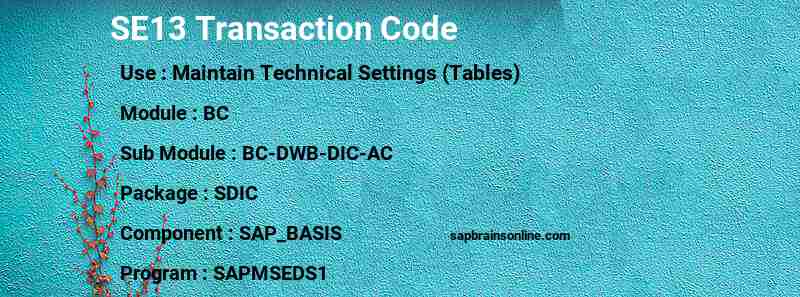 SAP SE13 transaction code