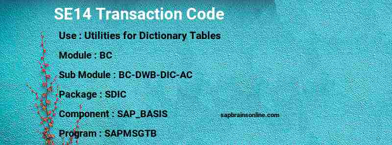 SAP SE14 transaction code