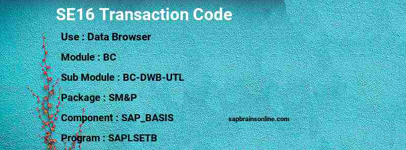 SAP SE16 transaction code