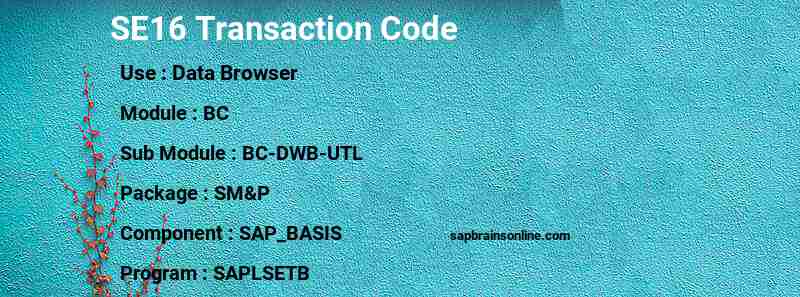 SAP SE16 transaction code