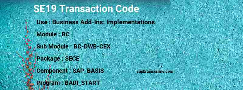 SAP SE19 transaction code