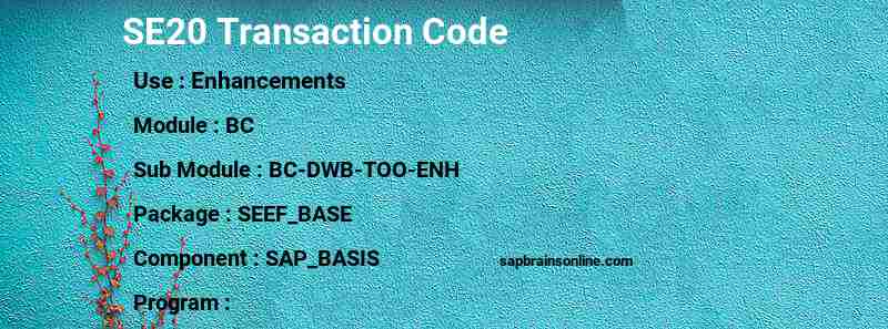SAP SE20 transaction code