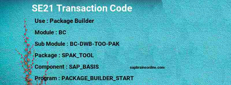 SAP SE21 transaction code