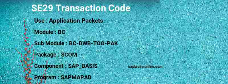 SAP SE29 transaction code