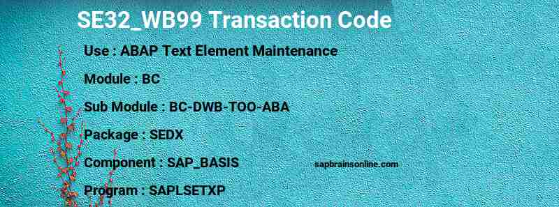 SAP SE32_WB99 transaction code