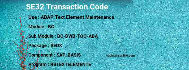 SAP SE32 transaction code