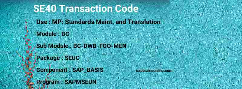 SAP SE40 transaction code