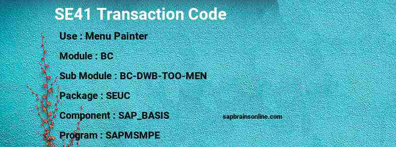 SAP SE41 transaction code