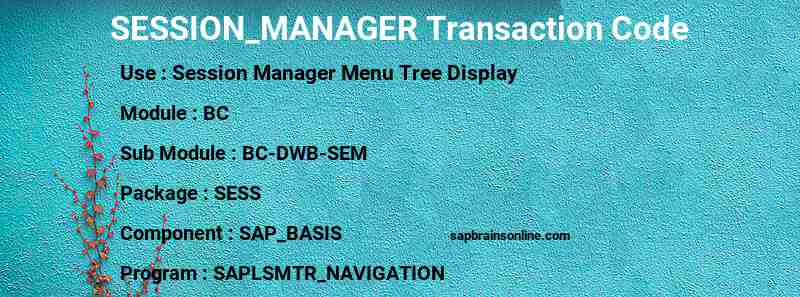 SAP SESSION_MANAGER transaction code