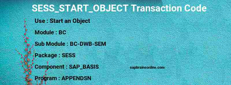 SAP SESS_START_OBJECT transaction code