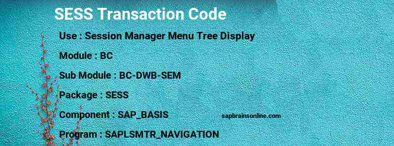 SAP SESS transaction code