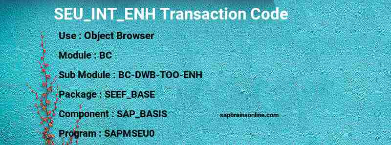 SAP SEU_INT_ENH transaction code