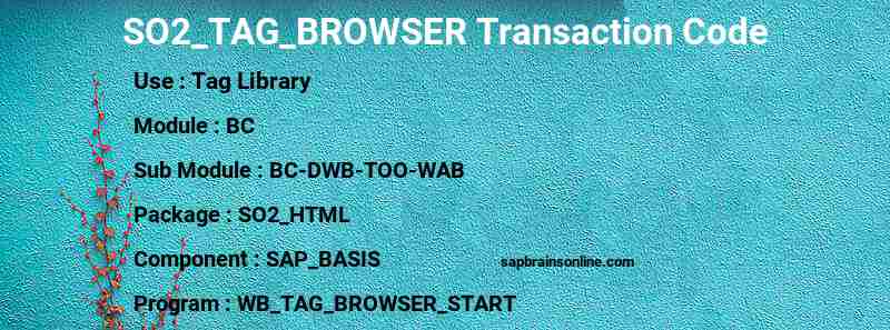 SAP SO2_TAG_BROWSER transaction code