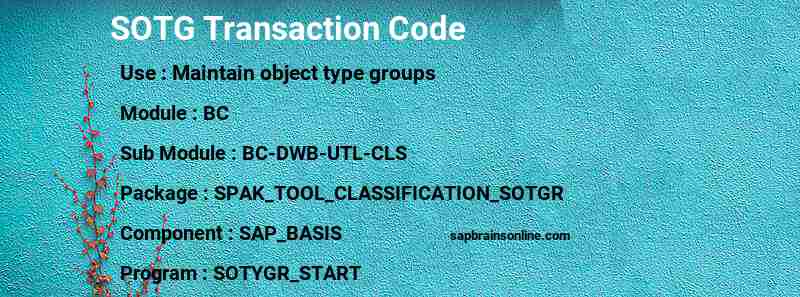 SAP SOTG transaction code