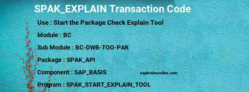 SAP SPAK_EXPLAIN transaction code