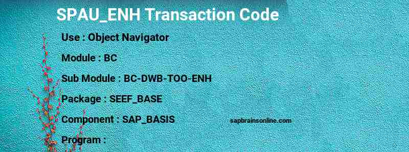 SAP SPAU_ENH transaction code