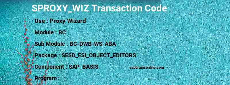 SAP SPROXY_WIZ transaction code