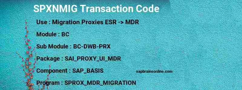 SAP SPXNMIG transaction code