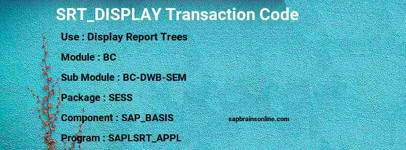SAP SRT_DISPLAY transaction code