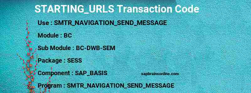 SAP STARTING_URLS transaction code