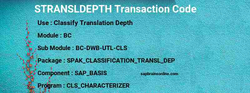 SAP STRANSLDEPTH transaction code