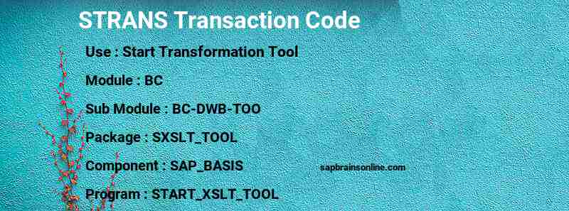 SAP STRANS transaction code