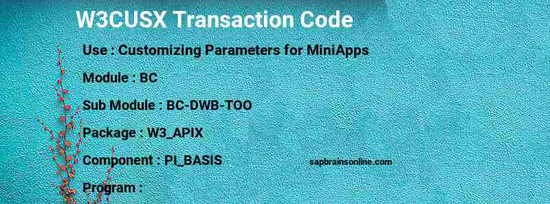 SAP W3CUSX transaction code