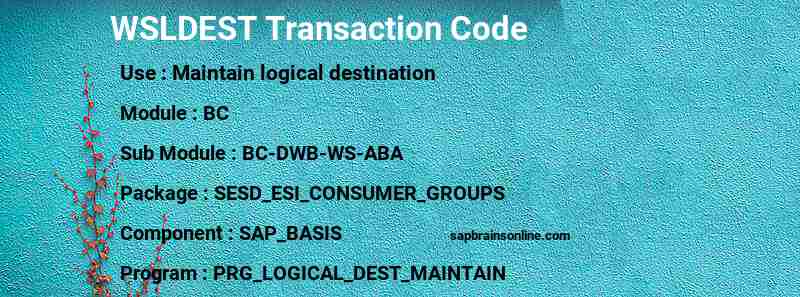 SAP WSLDEST transaction code