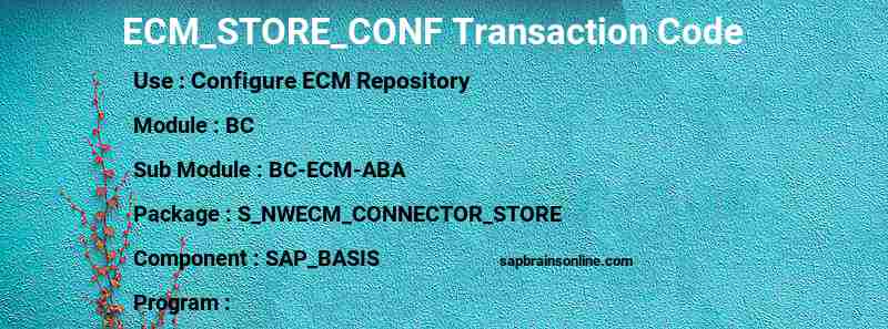 SAP ECM_STORE_CONF transaction code