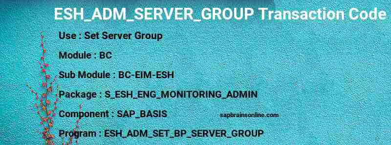 SAP ESH_ADM_SERVER_GROUP transaction code