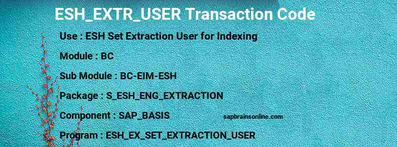 SAP ESH_EXTR_USER transaction code