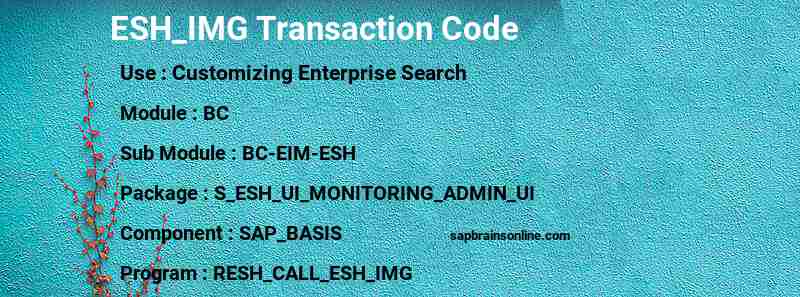 SAP ESH_IMG transaction code