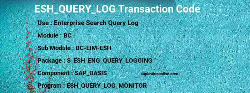 SAP ESH_QUERY_LOG transaction code