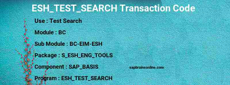 SAP ESH_TEST_SEARCH transaction code