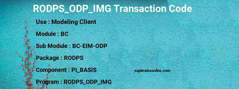 SAP RODPS_ODP_IMG transaction code