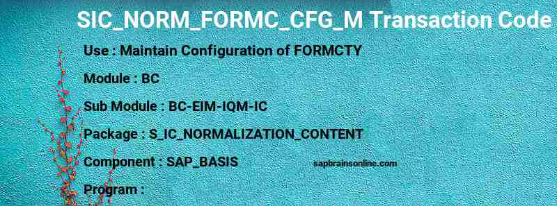 SAP SIC_NORM_FORMC_CFG_M transaction code