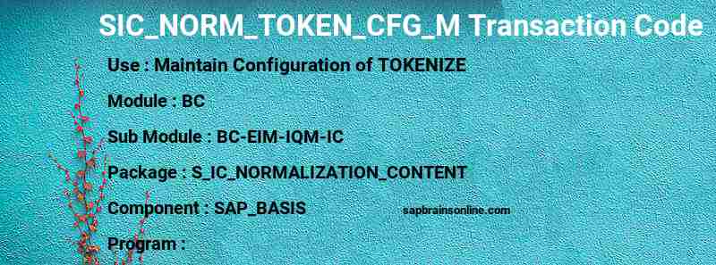 SAP SIC_NORM_TOKEN_CFG_M transaction code