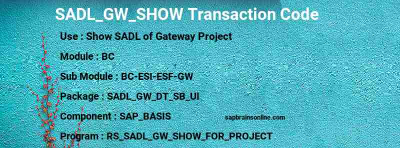 SAP SADL_GW_SHOW transaction code