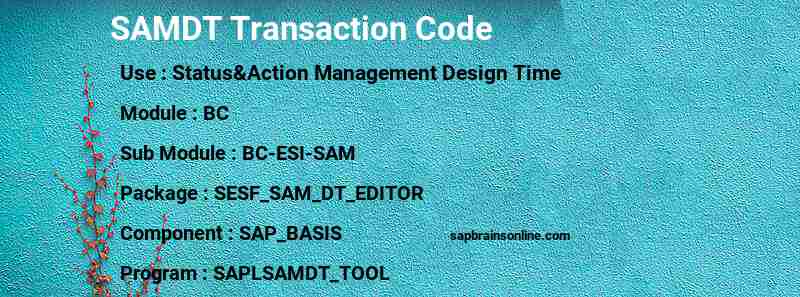 SAP SAMDT transaction code