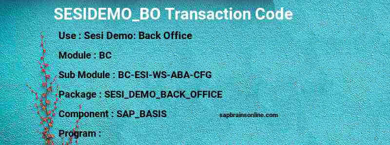 SAP SESIDEMO_BO transaction code