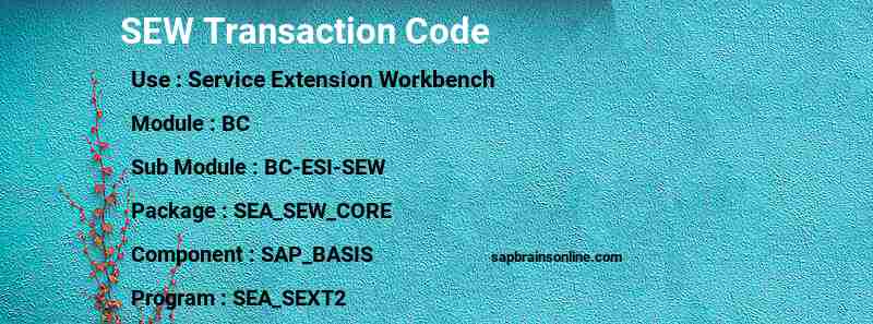 SAP SEW transaction code