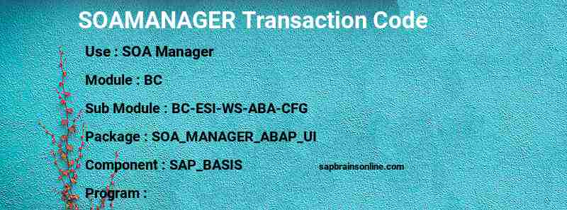 SAP SOAMANAGER transaction code