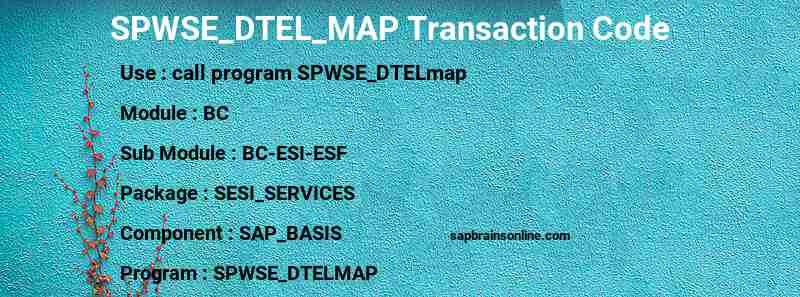 SAP SPWSE_DTEL_MAP transaction code