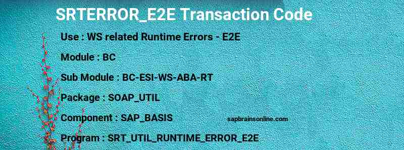 SAP SRTERROR_E2E transaction code